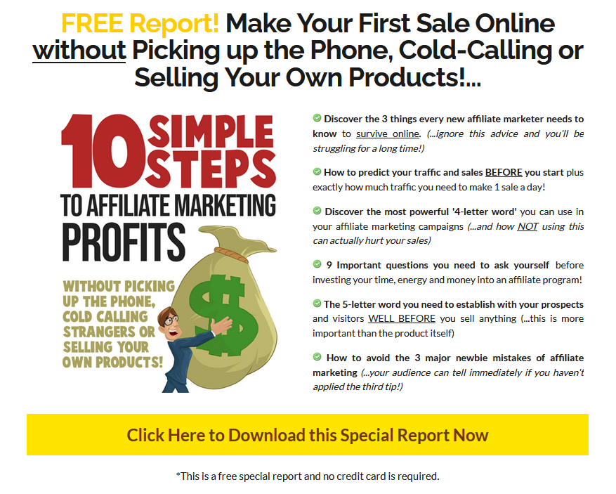 10 Simple Steps to Affiliate Marketing Profits